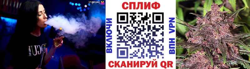 как найти наркотики  Ярцево  ОМГ ОМГ   Каннабис индика 
